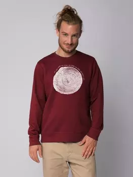 Толстовка wat? Apparel Baumscheibe, цвет weinrot