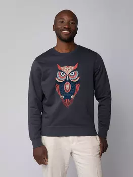 Толстовка wat? Apparel Colorful Owl, цвет india ink grey