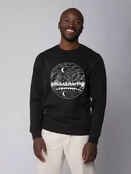 Толстовка wat? Apparel Mountains by night, черный