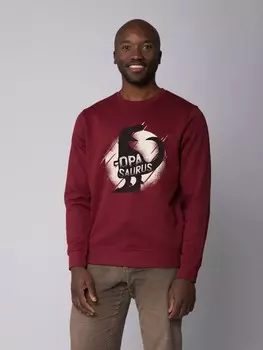 Толстовка wat? Apparel Opasaurus, цвет weinrot