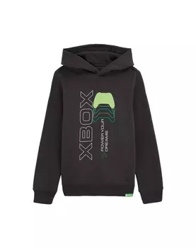 Толстовка WE Fashion, темно-серый