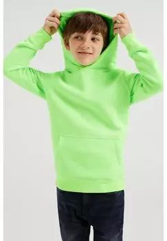 Толстовка WE Fashion, зеленый
