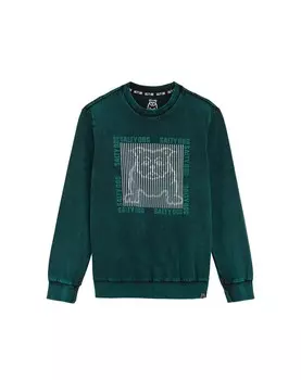 Толстовка WE Fashion, зеленый