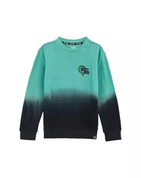 Толстовка WE Fashion, зеленый