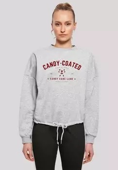 Толстовка WEIHNACHTEN CANDY COATED CHRISTMAS F4NT4STIC, серый