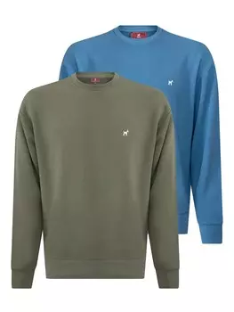 Толстовка Williot, цвет Blue/Green