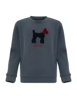 Толстовка Williot, цвет Navy/Indigo