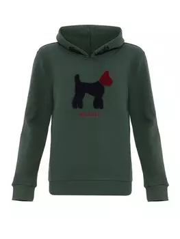 Толстовка Williot, хаки