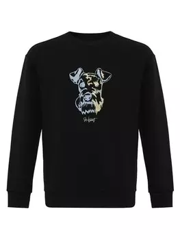 Толстовка Williot HUGO, черный