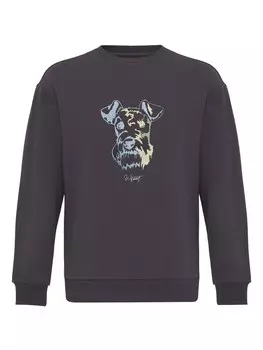 Толстовка Williot HUGO, серый