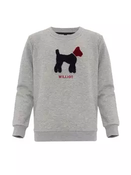 Толстовка Williot, серый