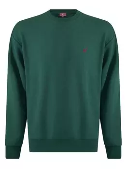 Толстовка Williot, зеленый/бензин