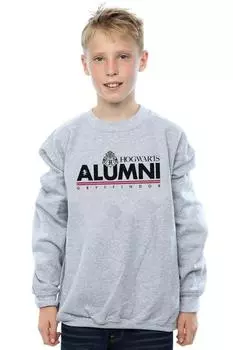 Толстовка выпускника Хогвартса Гриффиндор Harry Potter, серый
