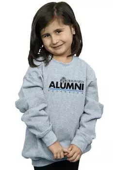 Толстовка выпускника Хогвартса Равенкло Harry Potter, серый