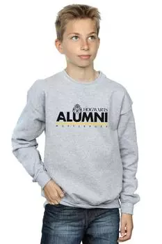 Толстовка выпускников Хогвартса с Хаффлпаффом Harry Potter, серый