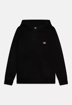 Толстовка YOUTH OAKPORT HOODIE UNISEX Dickies, цвет black