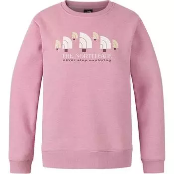 Толстовка женская THE NORTH FACE, Falling Cherry Blossom Purple