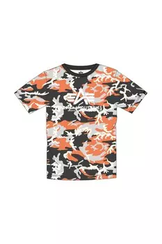 Толстовки базовые t камуфляж пп Alpha Industries, мультиколор