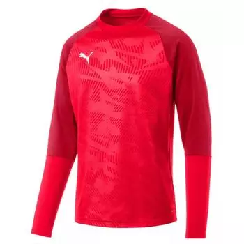 Толстовки Cup Core Training Sweat PUMA, красный