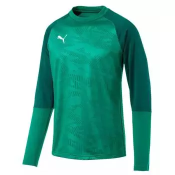 Толстовки Cup Core Training Sweat PUMA, зеленый