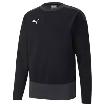 Толстовки teamGOAL 23 Training Sweat PUMA, черный/серый