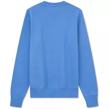 Tommy Hilfiger Мужская толстовка, цвет Blue DW5