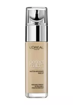 Тональная основа PERFECT MATCH MAKE-UP L'Oreal, цвет 2n vanilla