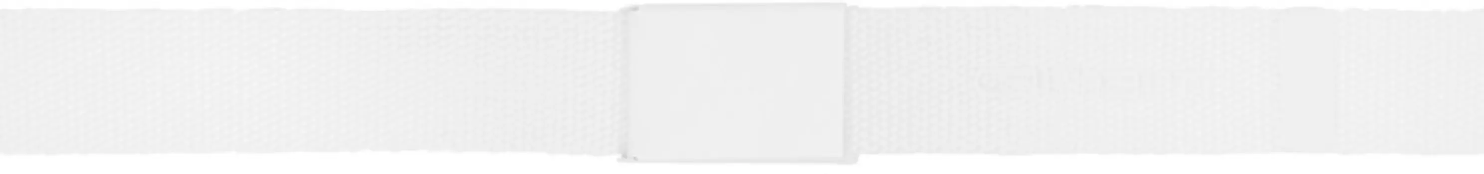 Тональный пояс с надписью Carhartt Work In Progress