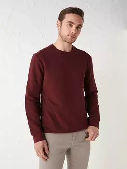 Тонкая мужская толстовка с круглым вырезом и длинными рукавами LC Waikiki Basic