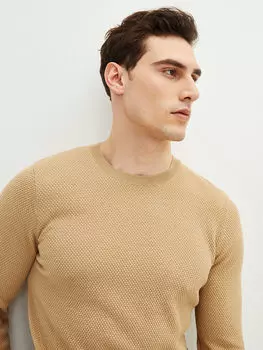 Тонкий мужской трикотажный свитер с круглым вырезом и длинными рукавами LCW Vision