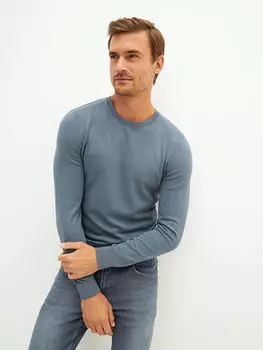 Тонкий мужской трикотажный свитер с круглым вырезом и длинными рукавами LCW Vision
