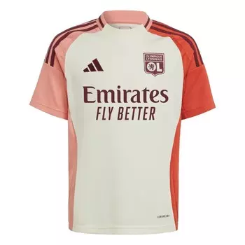 Топ ADIDAS PERFORMANCE Performance Shirt Olympique Lyonnais 24/25 Third, белый