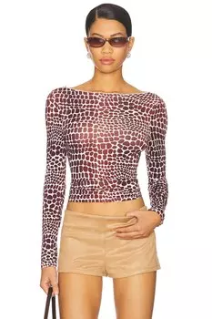 Топ Amelia Miaou, lizard