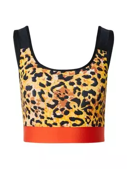 Топ Just Cavalli LYCRA, разноцветный