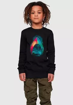 Топ с длинными рукавами AQUAMAN-MERA LOGO ABSOLUTE CULT, цвет black