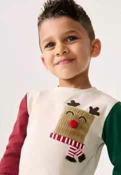 Топ с длинными рукавами CHRISTMAS REGULAR FIT Next, зеленый