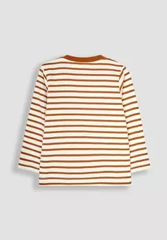 Топ с длинными рукавами DINOSAUR APPLIQUE REGULAR FIT JoJo Maman Bb, коричневый