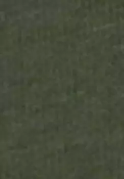 Топ с длинными рукавами HENLEY camel active, зеленый