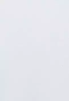 Топ с длинными рукавами JPRBLABUSHWICK ETHAN ROLL NECK Jack & Jones PREMIUM, белый