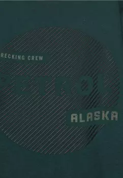 Топ с длинными рукавами Petrol Industries, зеленый