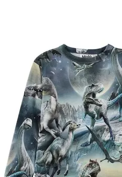 Топ с длинными рукавами RILL LONG SLEEVES Molo, синий