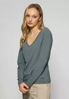 Топ с длинными рукавами SINGLE V NECK BLOCK TRACY Polo Club, серый