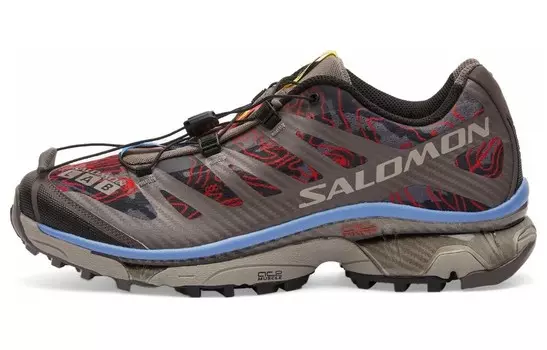 Топография сливового котенка XT-4 OG Salomon