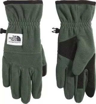 Тяжелые флисовые перчатки The North Face Etip