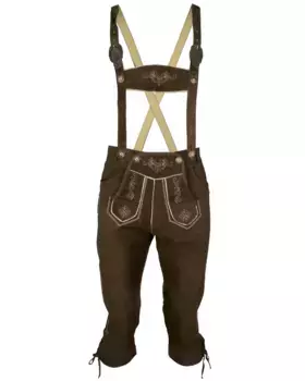 Традиционные брюки JCC "FRANZBERG", коричневый