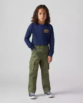 Традиционные брюки-карго для мальчиков Levi's, зеленый