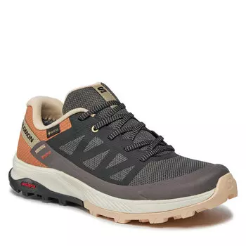 Трекинговые ботинки Salomon OutriseGtx W, серый
