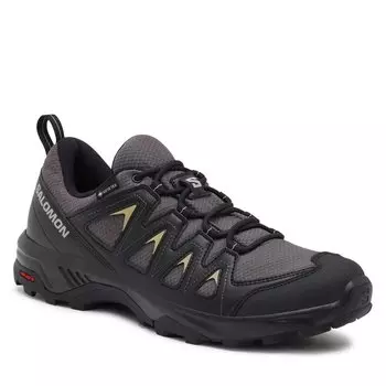 Трекинговые ботинки Salomon XBraze GORE-TEX, серый