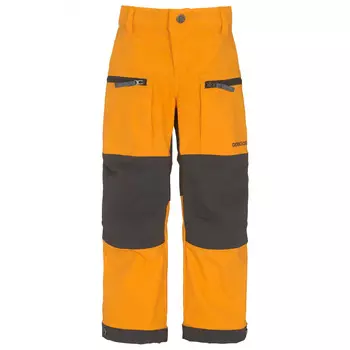 Трекинговые брюки Didriksons Kid's Kotten, цвет Happy Orange