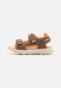 Трекинговые сандалии AIRADYUM Geox, цвет brown/dark orange